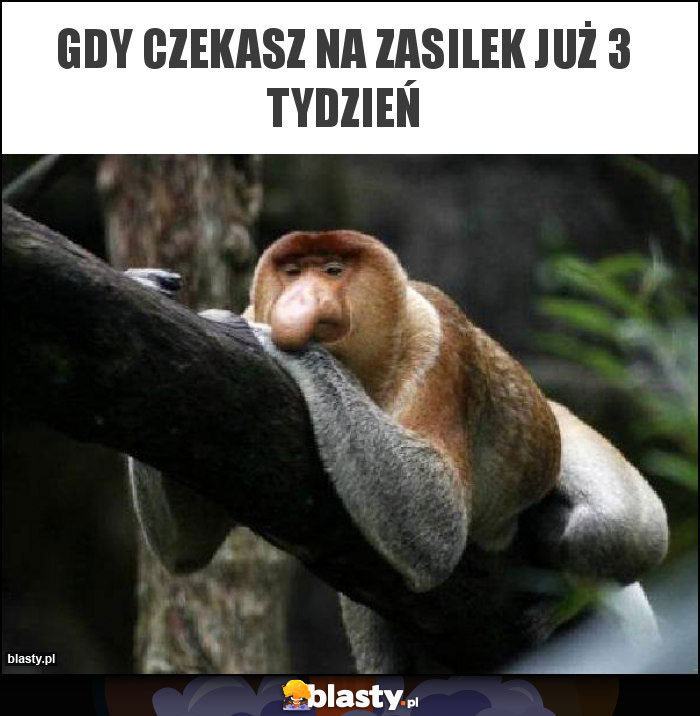 Gdy czekasz na zasilek już 3 tydzień