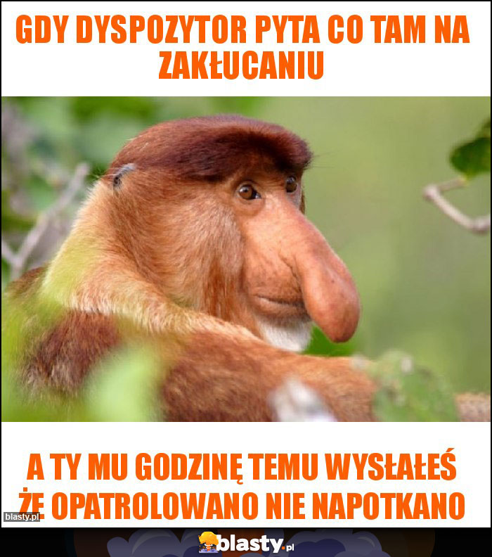 Gdy dyspozytor pyta co tam na zakłucaniu