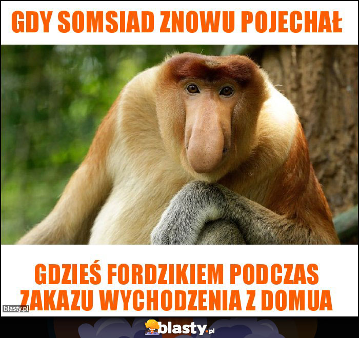 Gdy somsiad znowu pojechał