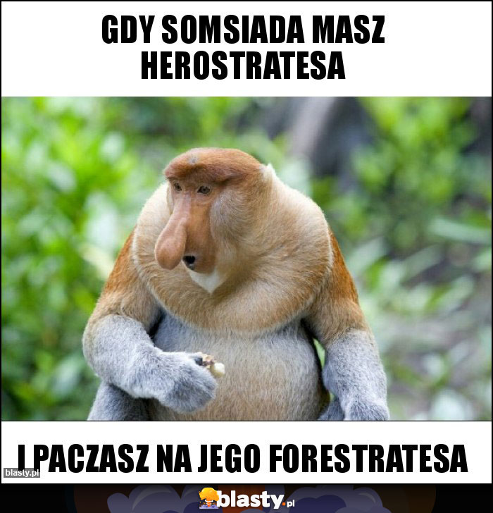 Gdy somsiada masz Herostratesa