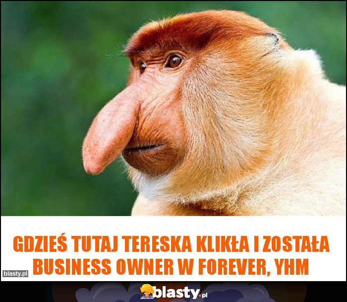 Gdzieś tutaj Tereska klikła i została business owner w Forever, yhm