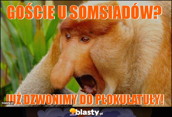 Goście u somsiadów?