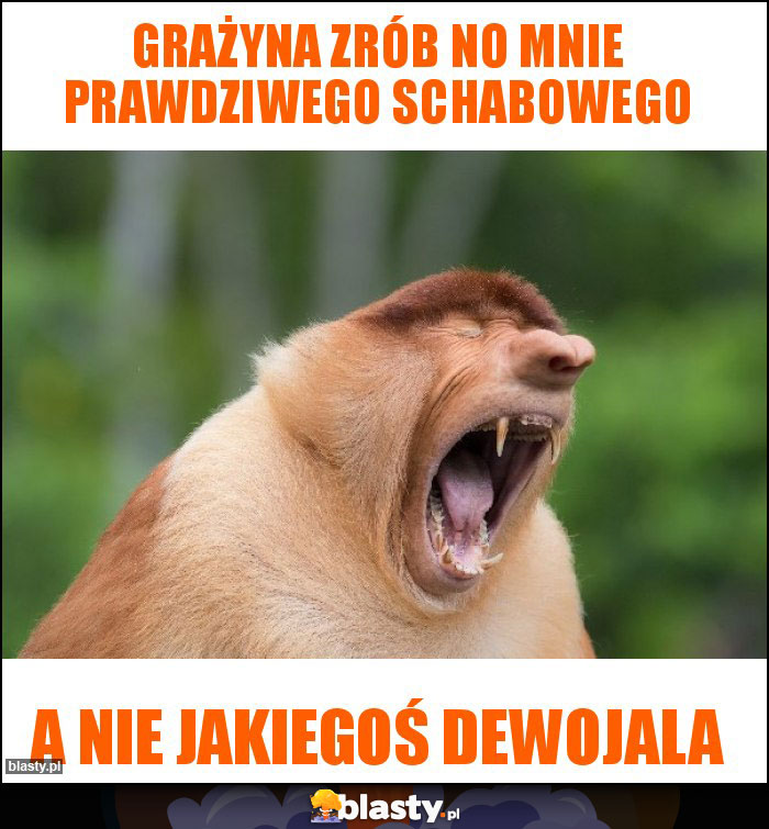 Grażyna zrób no mnie prawdziwego schabowego