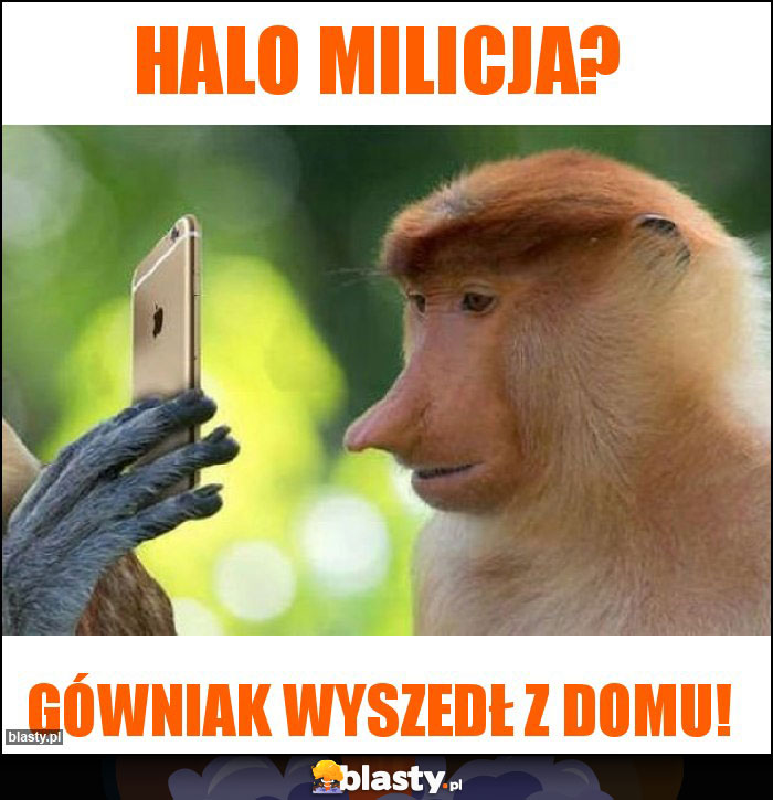 Halo milicja?