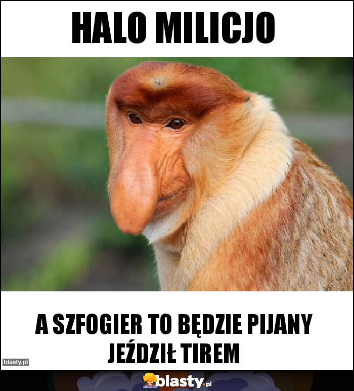 Halo milicjo