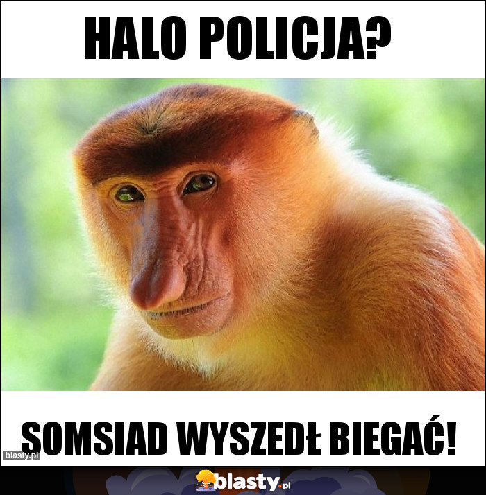 Halo Policja?