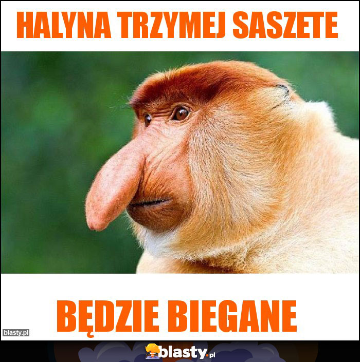 Halyna trzymej saszete