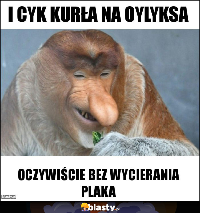 I cyk kurła na oylyksa