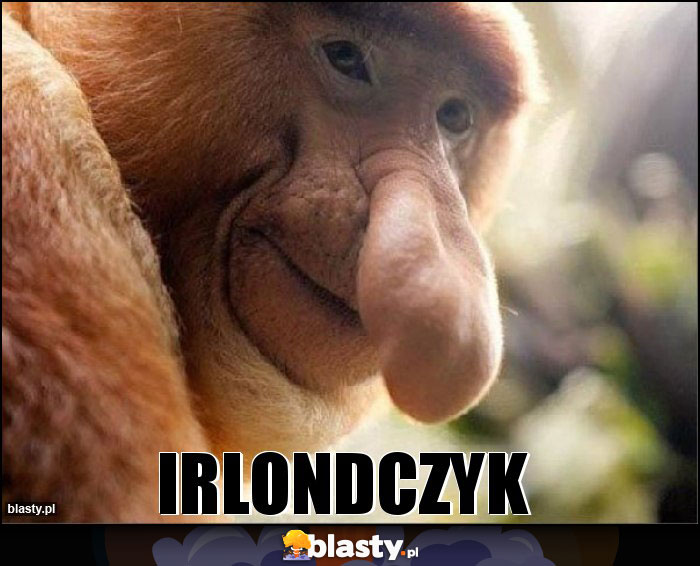 IRLONDCZYK