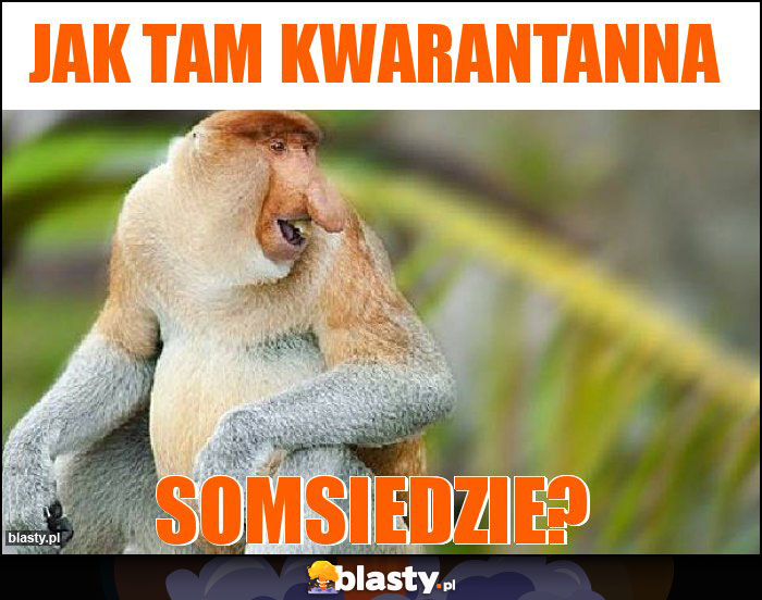 JAK TAM KWARANTANNA