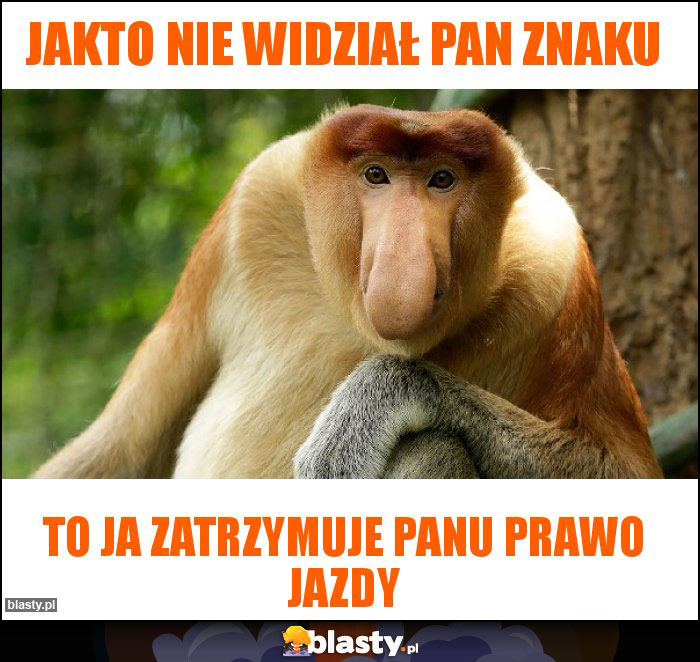 Jakto nie widział pan znaku