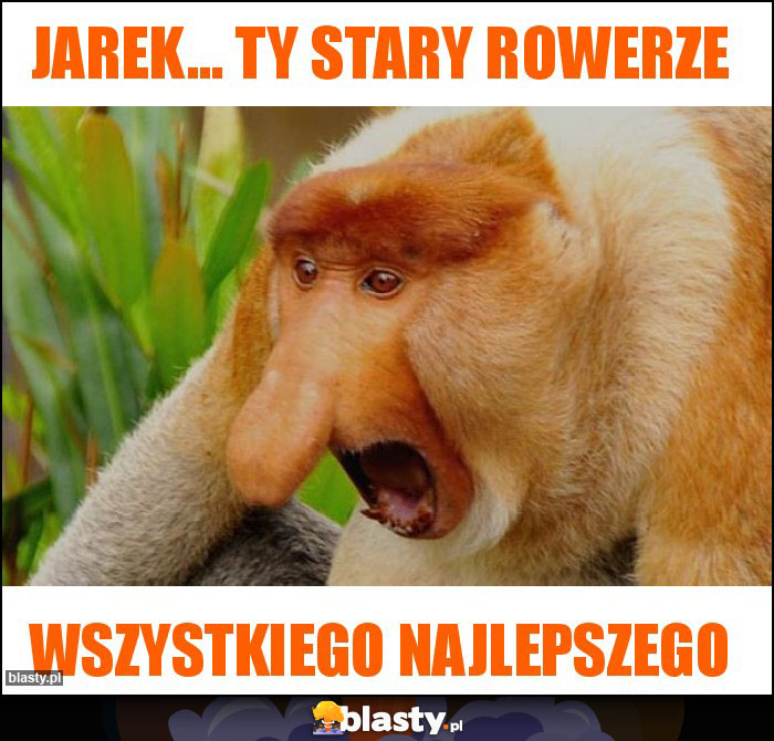 Jarek... TY STARY ROWERZE