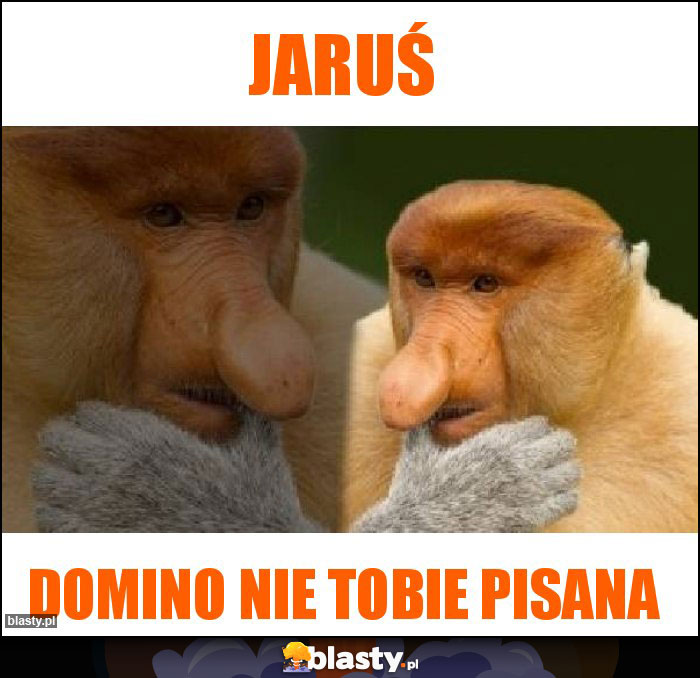 Jaruś