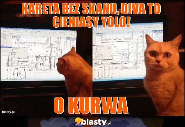 Kareta bez skanu, DIVA to cieniasy YOLO!