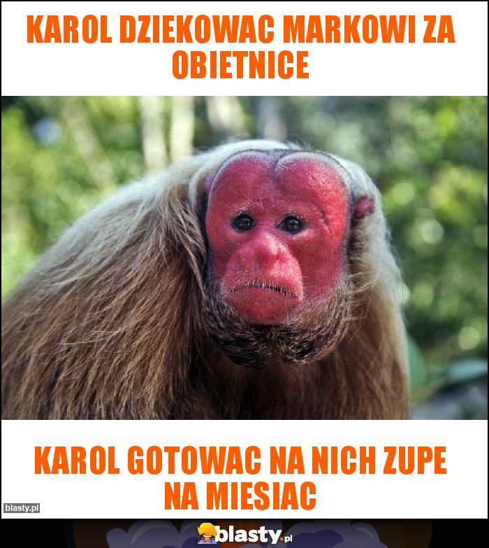 Karol dziekowac Markowi za obietnice