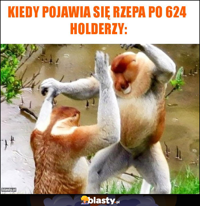 KIEDY POJAWIA SIĘ RZEPA PO 624  HOLDERZY: