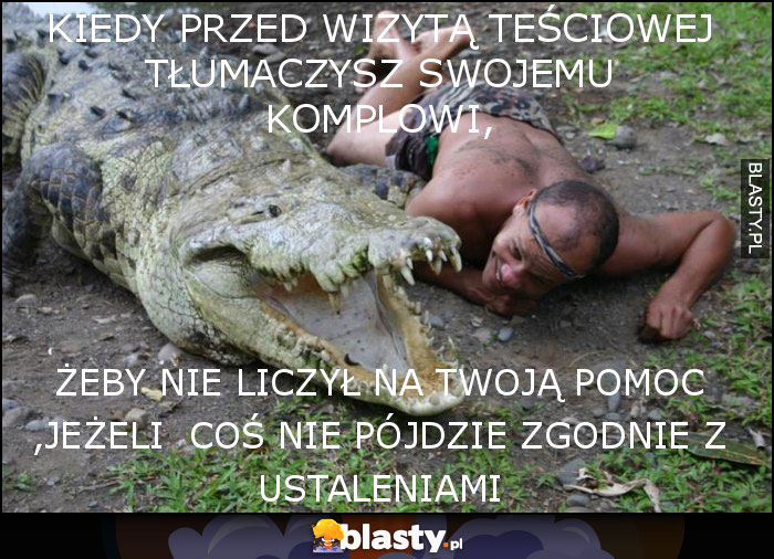 KIEDY PRZED WIZYTĄ TEŚCIOWEJ TŁUMACZYSZ SWOJEMU KOMPLOWI,