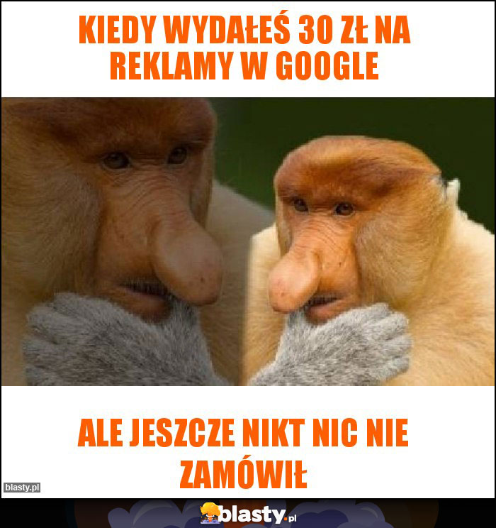 Kiedy wydałeś 30 zł na reklamy w google