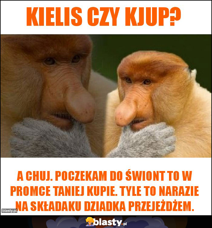 Kielis czy Kjup?