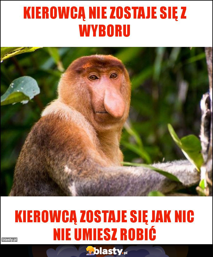 Kierowcą nie zostaje się z wyboru