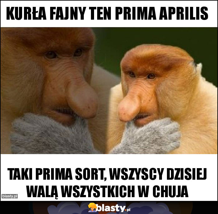 Kurła fajny ten prima aprilis