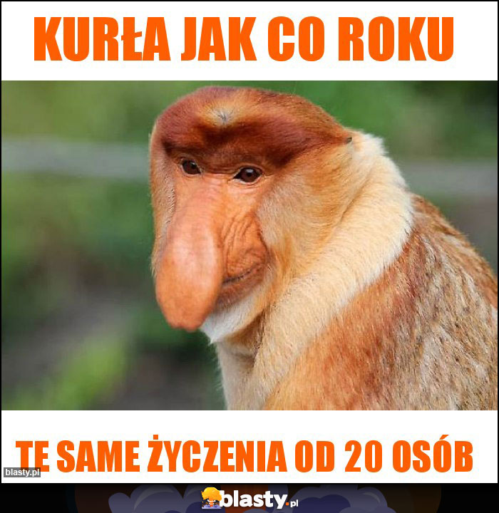 Kurła jak co roku