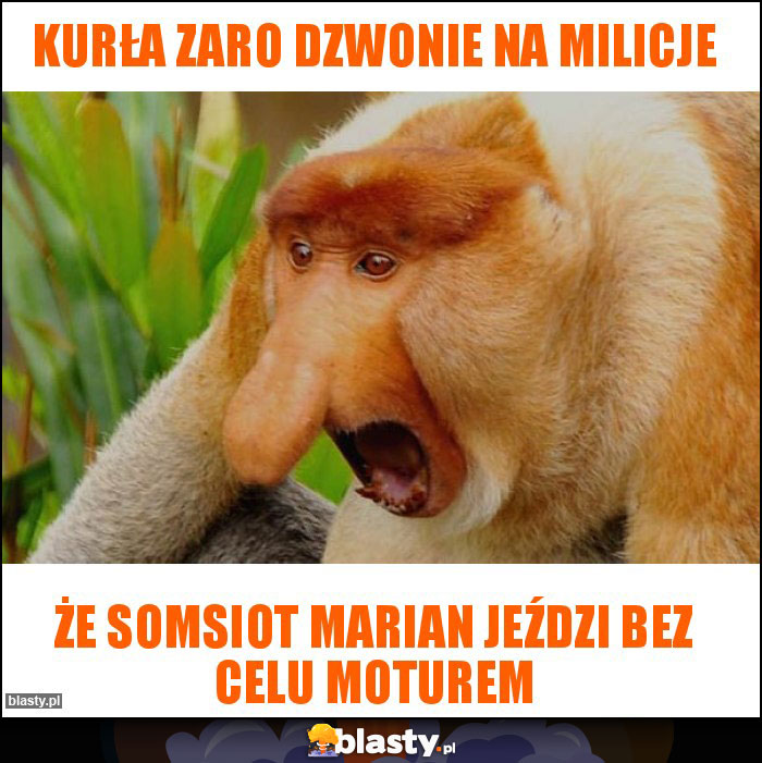 Kurła zaro dzwonie na milicje