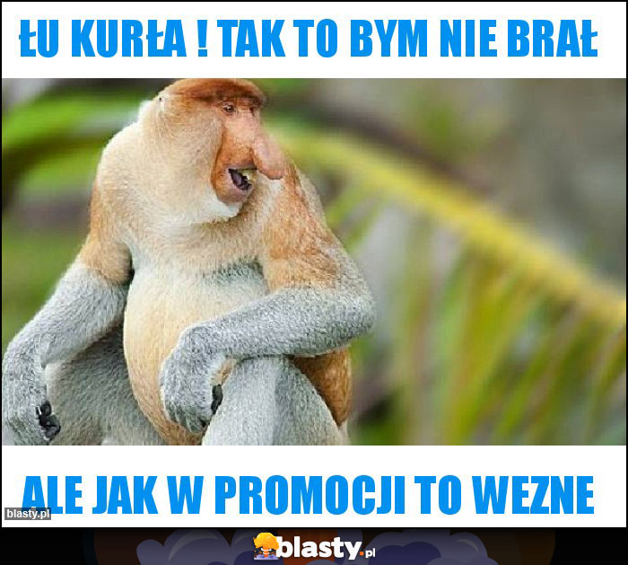 Łu kurła ! Tak to bym nie brał