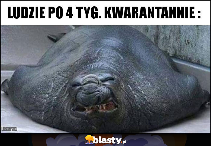 Ludzie po 4 tyg. kwarantannie :