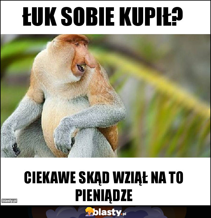 łuk sobie kupił?