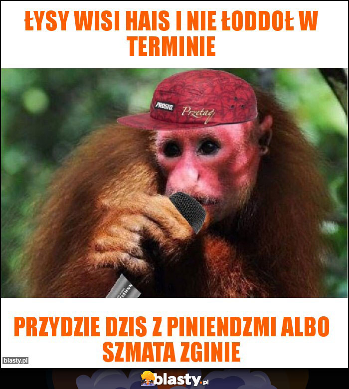 ŁYSY WISI HAIS I NIE ŁODDOŁ W TERMINIE