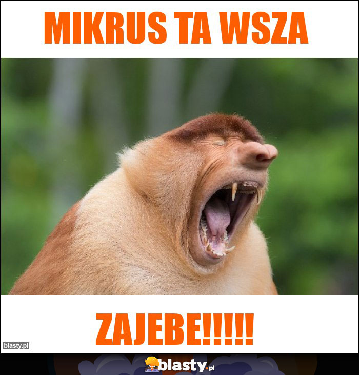 Mikrus ta wsza