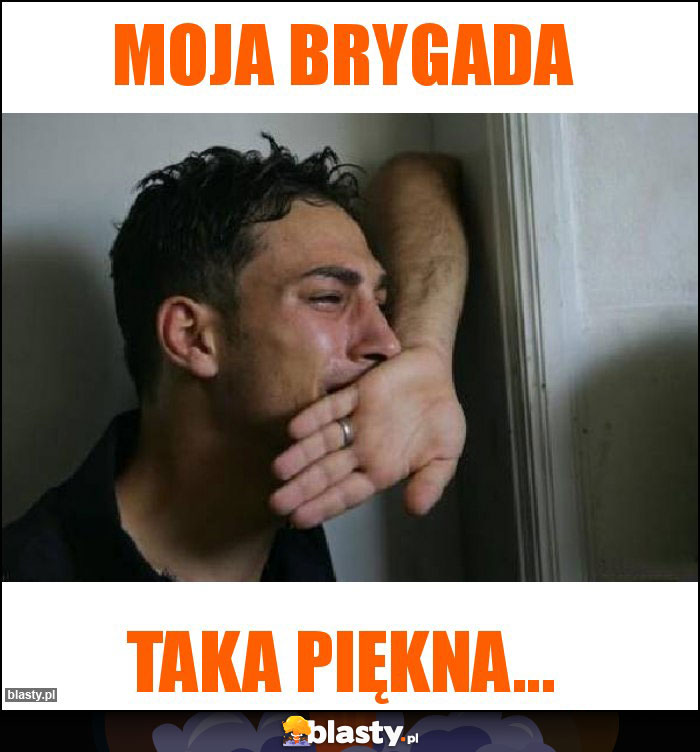 MOJA BRYGADA