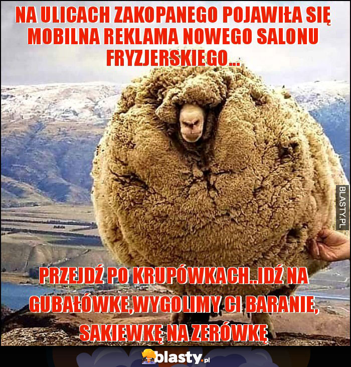 na ulicach zakopanego pojawiła się mobilna reklama nowego salonu fryzjerskiego...