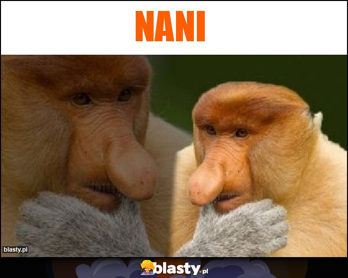 Nani