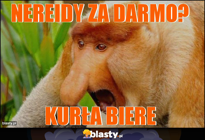 nereidy za darmo?