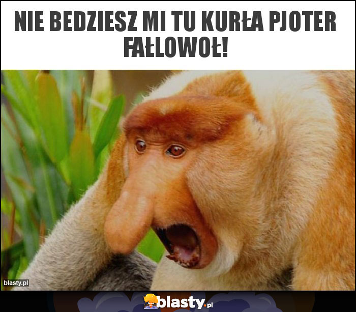 Nie bedziesz mi tu kurła Pjoter fałlowoł!