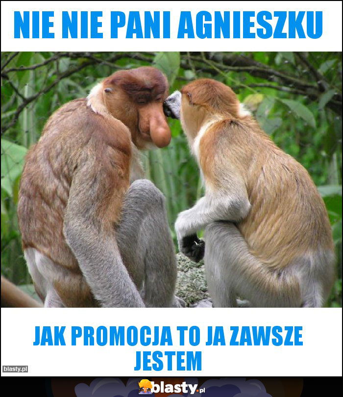 Nie nie Pani Agnieszku