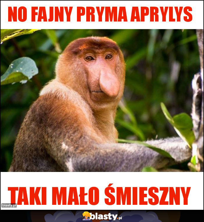 no fajny pryma aprylys