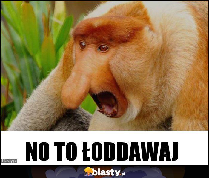 no to łoddawaj