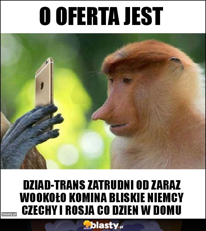 o oferta jest