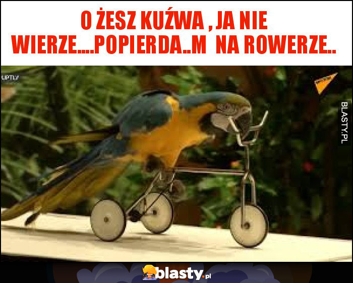 o żesz kuźwa , ja nie wierze....popierda..m  na rowerze..