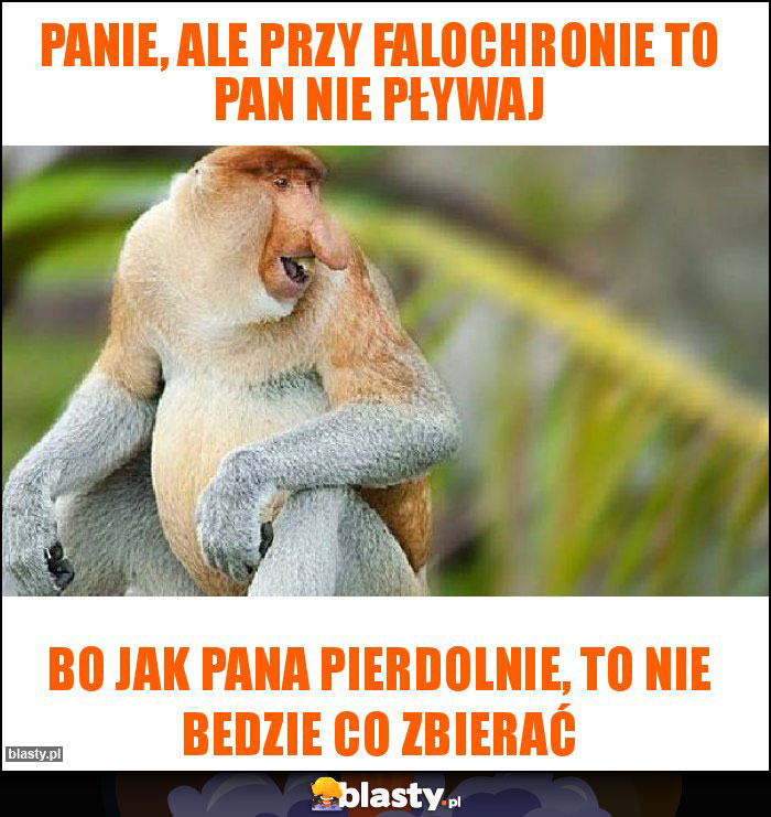 Panie, ale przy falochronie to Pan nie pływaj