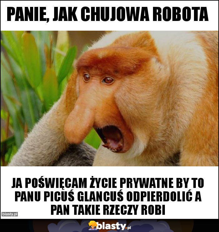 Panie, jak chujowa robota