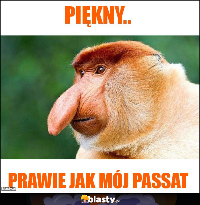 Piękny..