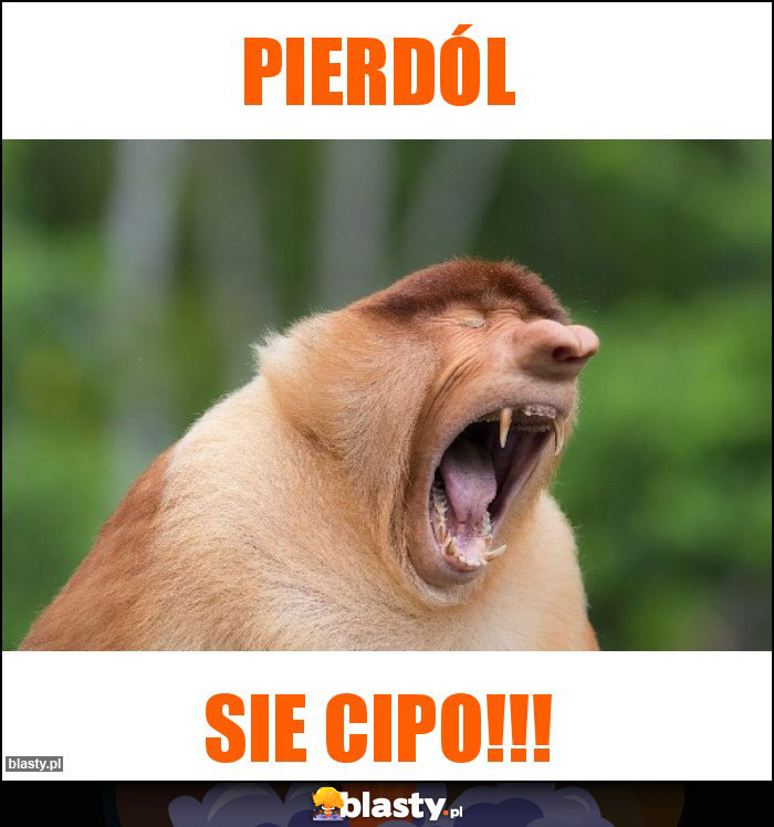 Pierdól