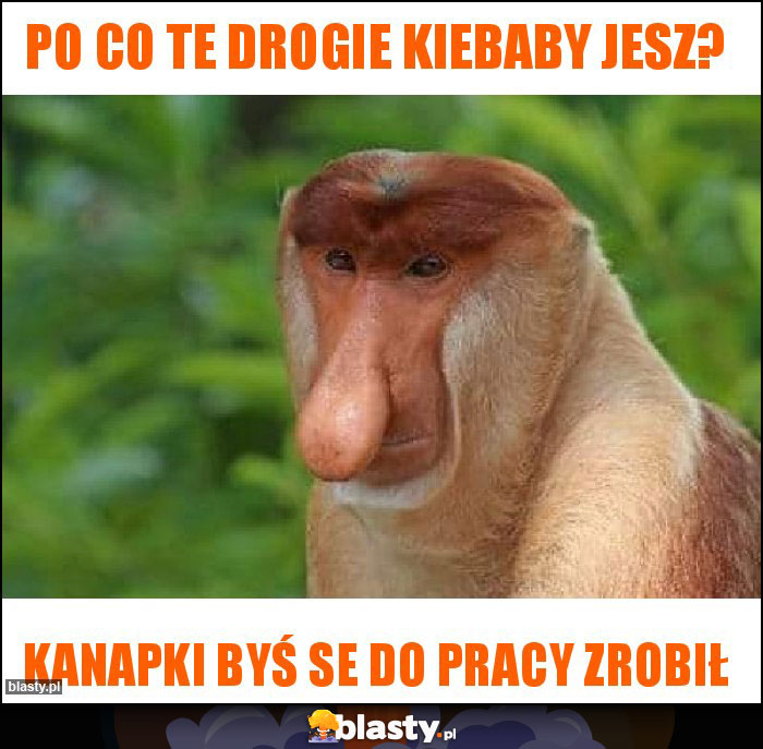 Po co te drogie kiebaby jesz?