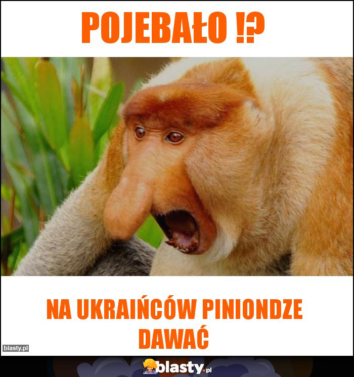 POJEBAŁO !?