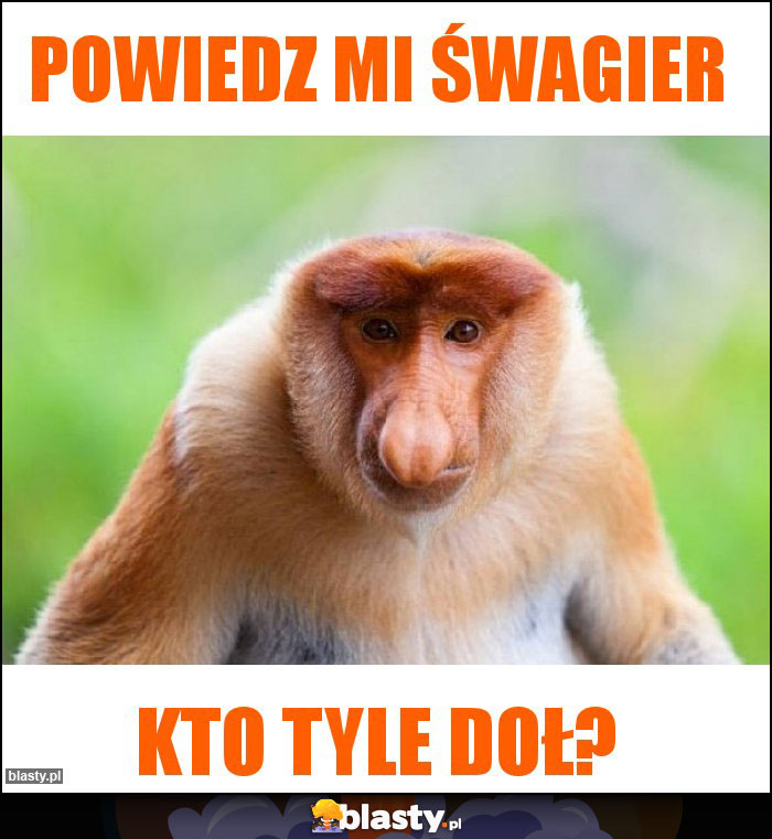 Powiedz mi śwagier