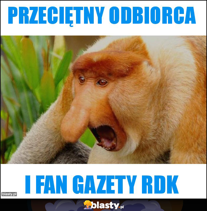 Przeciętny odbiorca